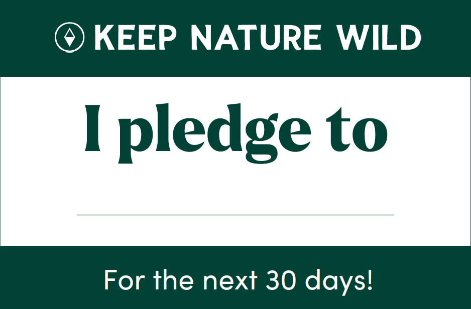 Keep Nature Wild Earth Month Pledge Card